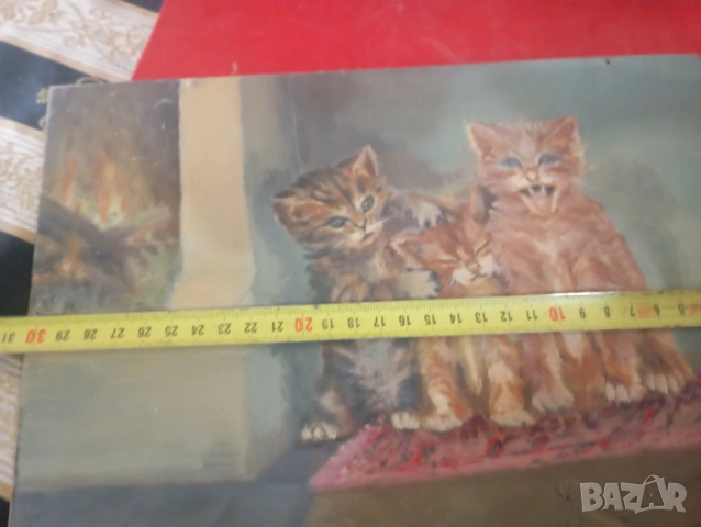 Картина- котета, снимка 5 - Картини - 54075931