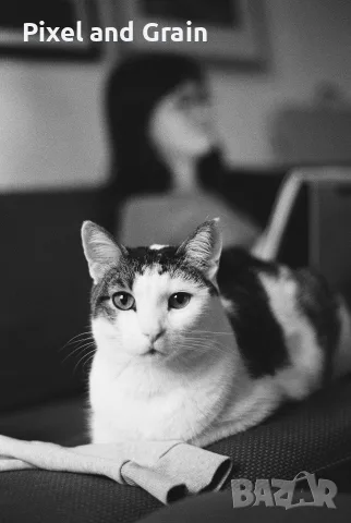 Minolta 5000 + AF Minolta 50mm f/1.7 лентов апарат с обектив, снимка 11 - Фотоапарати - 55496013