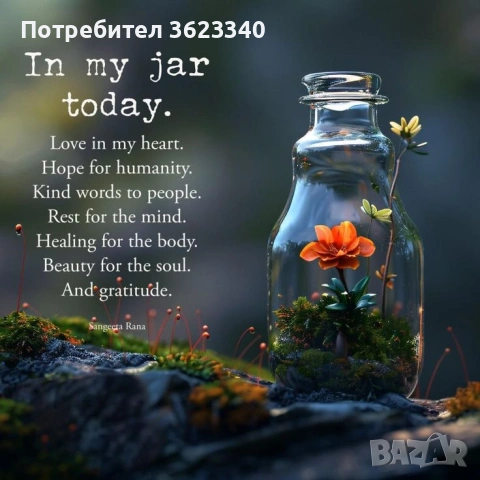 Професионална детегледачка с богат опит , снимка 6 - Детегледачки, детски центрове - 55108049