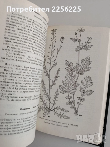 Билки и билкосъбиране, снимка 4 - Специализирана литература - 54914847