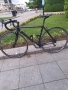 Focus Cayo carbon, снимка 2