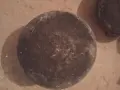 медени и бронзови котли ,тави тиган-40 евро, снимка 7
