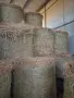Продавам РУЛОННИ БАЛИ ЛЮЦЕРНА, снимка 2
