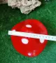 Керамична гъбка , снимка 7