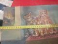 Картина- котета, снимка 5