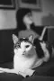 Minolta 5000 + AF Minolta 50mm f/1.7 лентов апарат с обектив, снимка 11