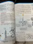 Учебник по биология за 11 клас, снимка 2