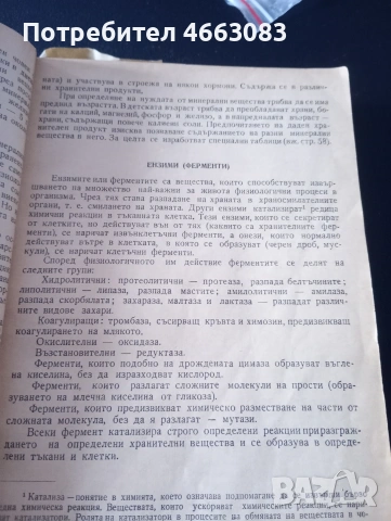 Готварска книга. Интересни рецепти , снимка 4 - Антикварни и старинни предмети - 54752621