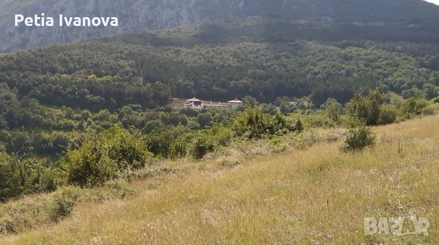 Парцел с. Челопек, снимка 6 - Парцели - 54795627