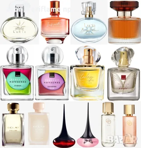 Lucia, Today, Fidgy Matcha, Banana Oud, Love Potion, Eclat Femme, Amber Elixir 