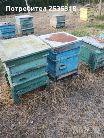 Кошери празни без пчели с магазини