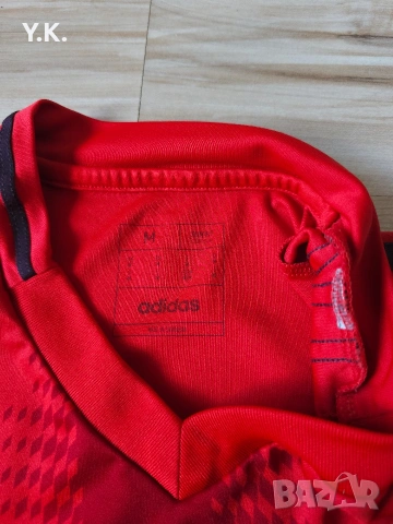 Оригинална мъжка тениска Adidas AeroReady x F.C. Bayern Munchen / Season 24-25 (Home), снимка 4 - Тениски - 55258601