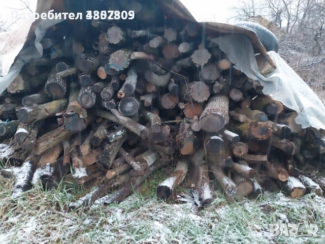 Частна дървесина...Тргион Силистра 1 кв.м....ПЛЮС!! .....50 евро....0887796862.....подправена...или 