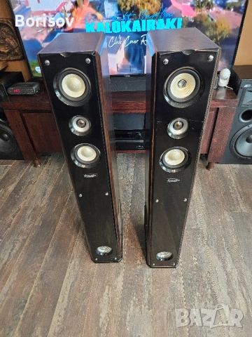 Дизайнерски Тонколони Acoustic Symphonie K2