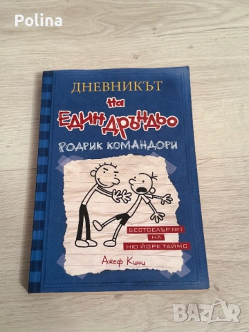 Дневникът на един дръндьо