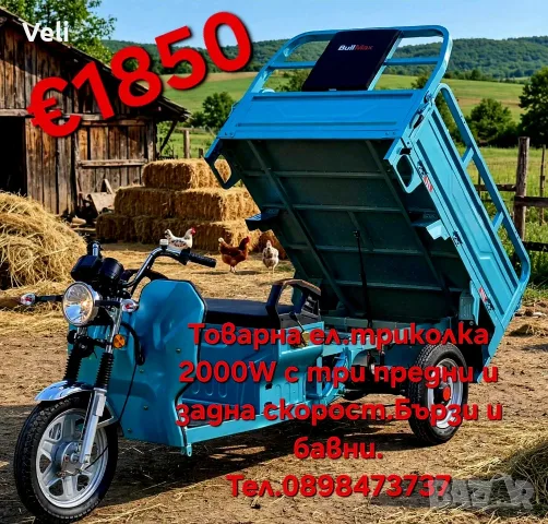 Електрическа товарна триколка Cargo S-800 600кг.
