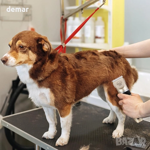 Машинки за подстригване на кучета Pilarmuture, електрическа, акумулаторна, 4 предпазни гребена, снимка 7 - За кучета - 54054061