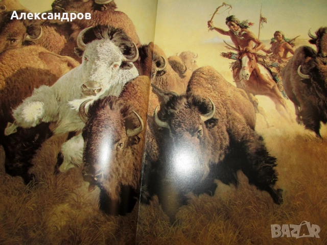 Книга с рисунки на индиански сцени The art of Frank C. McCarthy, снимка 4 - Енциклопедии, справочници - 53999440