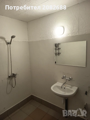 Стая , снимка 8 - Стаи под наем - 54069979