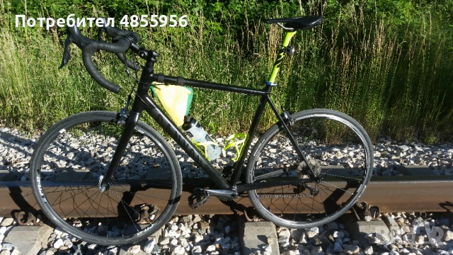 Canyon Endurace Al r34 / 56-57cm (Large)