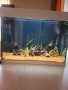 Аквариум-Оборудван, снимка 1