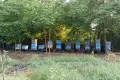 Работещ пчелин с фургон за ценрофугиране и инвентар, снимка 1
