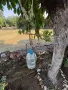 Стар месингов/ меден кантар топузлия, снимка 9