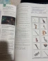 Учебник, учебна тетратка и граматика по английски Focus b1 part 1, снимка 2