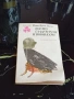 Когато Гладувахме и Воювахме - Рита Буми-Папа 1979г., снимка 1