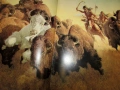 Книга с рисунки на индиански сцени The art of Frank C. McCarthy, снимка 4