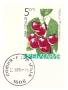 СЕТ БЪЛГАРСКИ МОНЕТИ 1974 ГОДИНА /виж описанието/, снимка 5