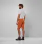 Мъжки къси панталони Salewa Puez Talveno Durastretch Shorts Men Размер 50 L , цена 68 €, снимка 4