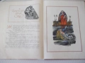 Книга "Приказки - том 2 - Братя Грим" - 208 стр., снимка 5