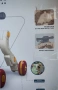 Продавам в добро Интерактивна играчка 5 в 1 Tres, количка, тротинетка, маса, 44x50см, многоцветна, снимка 3