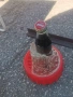 COCA COLA 0407262054H2E7R, снимка 14