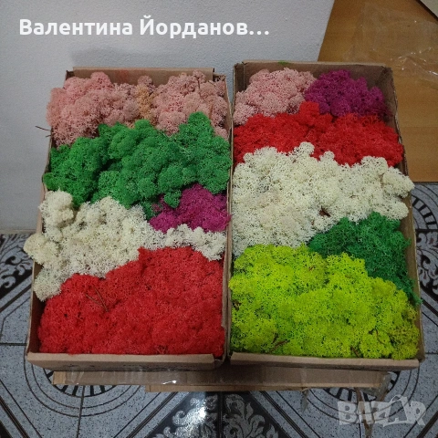скандинавски мъх микс цветове в кутия 