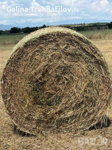 Продавам люцерна , втори откос чиста.