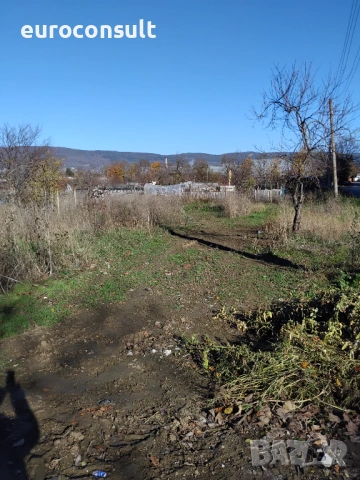 Парцел  гр.Севлиево, 3000 кв.м , снимка 5 - Парцели - 54238927