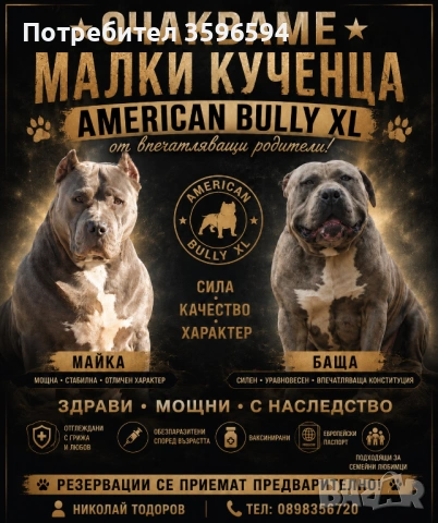 Американско Були ХЛ