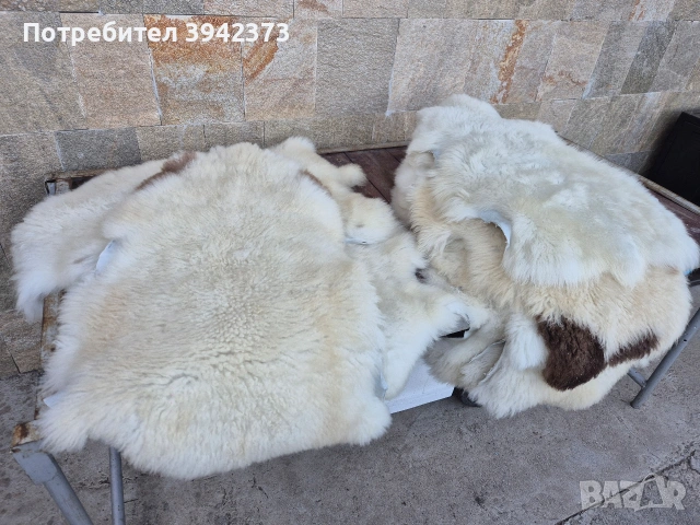 Кожа , снимка 3 - Декорация за дома - 54897208