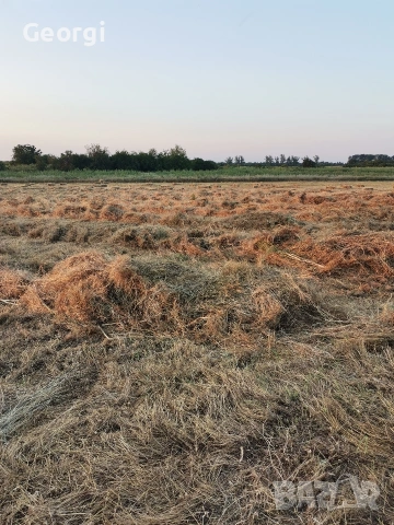 Малки бали сено 