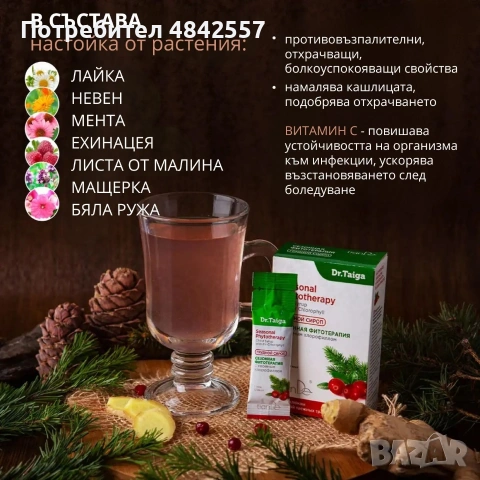 Сироп „Сезонна фитотерапия“ с иглолистен хлорофил, 10 стика по 10 гр., снимка 6 - Други - 54748671