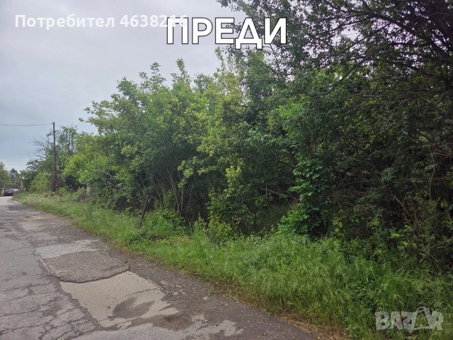     Косене на трева и рязане на опасни дървета, снимка 8 - Други ремонти - 55130350