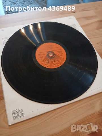 Плоча Deep Purple , снимка 6 - Грамофонни плочи - 54761833