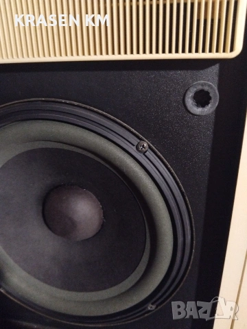 ,BOSE 301 II., снимка 5 - Тонколони - 54520058