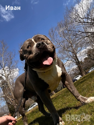 Мъжки були хл , снимка 2 - Други - 53999136