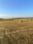 Продавам Бали сено, снимка 3