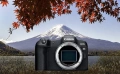 НОВО!!! Безогледален фотоапарат Canon - EOS R8, 24.2MPx, Black + Батерия LP-E17  , снимка 7