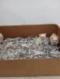 Mini Pomerani, снимка 9