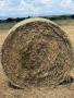 Продавам люцерна , втори откос чиста., снимка 1